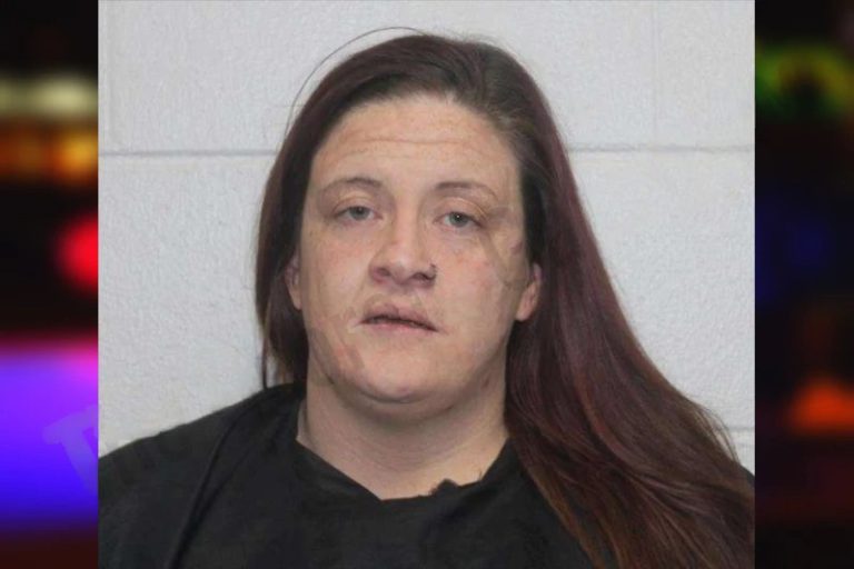 Brittney Beauchamp mugshot – Habersham County , Georgia Brittney Beauchamp