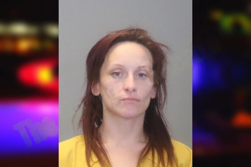 Brittney Lehman Mugshots