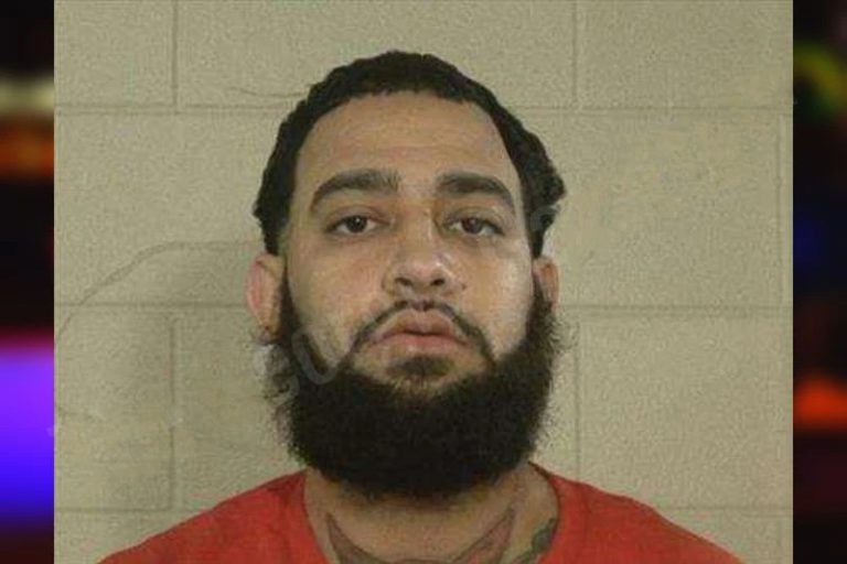 Bryan Fernandez mugshot – Liberty County , Georgia Bryan Fernandez
