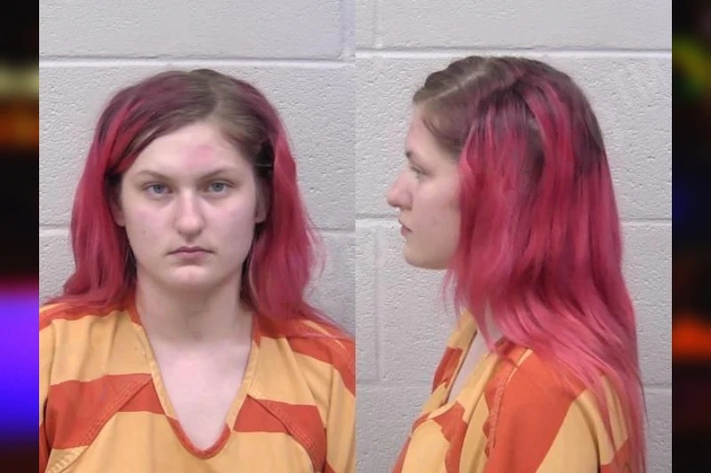 Cailey Webb Mugshots
