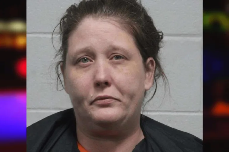 Cameo Wilbanks mugshot – Habersham County , Georgia Cameo Wilbanks