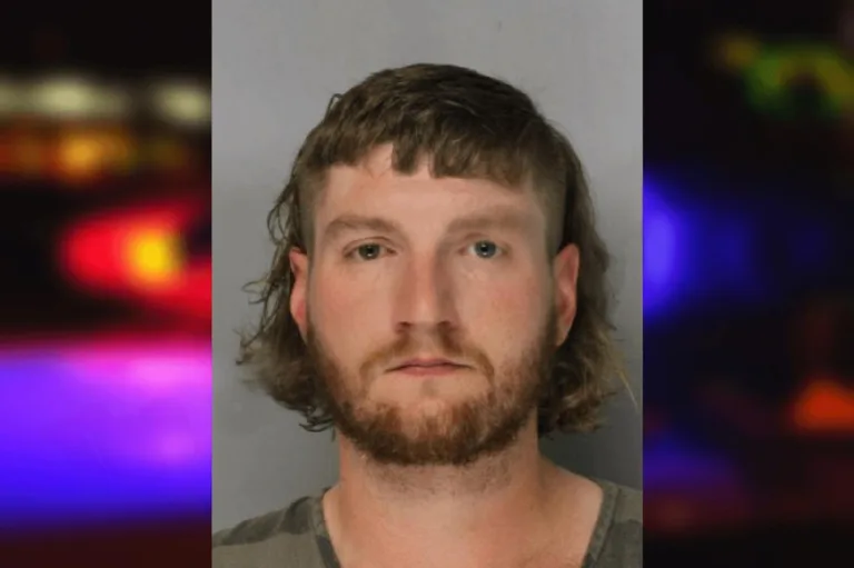 Cameron Wood mugshot – Hall County , Georgia Cameron Wood