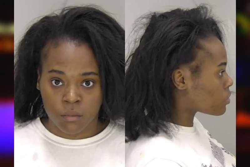 Camille Albea Mugshots