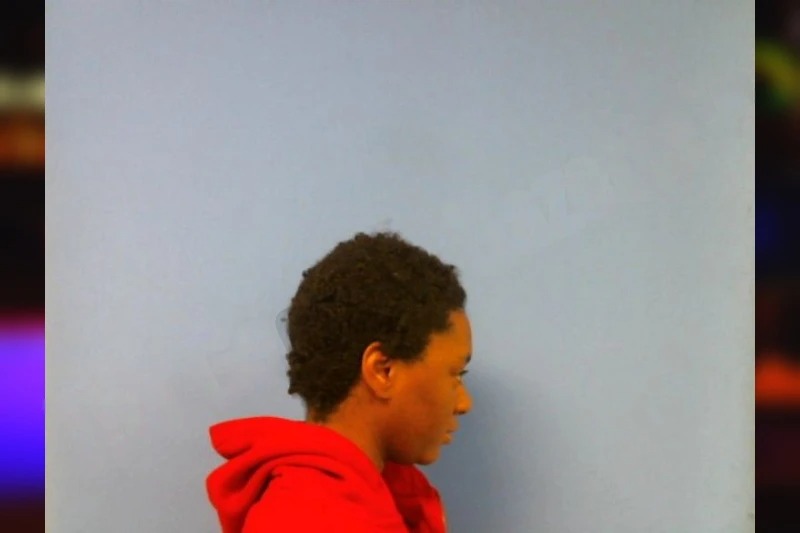 Carly Brown Mugshots