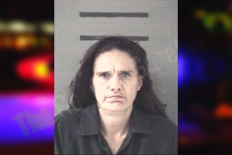 Carolyn Rowan mugshot – Dougherty County , Georgia Carolyn Rowan mugshot