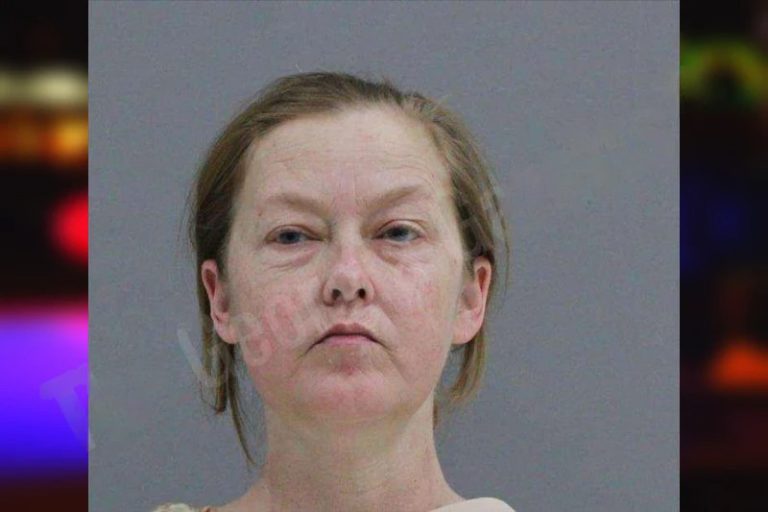 Carrie Stecklein mugshot – Rabun County , Georgia Carrie Stecklein