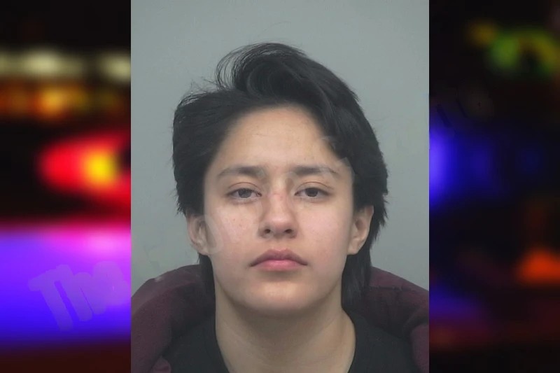 Casandra Baltazar-Ayala mugshot – Gwinnett County , Georgia Casandra Baltazar-Ayala mugshot