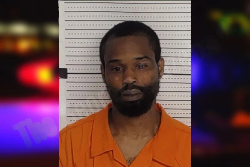 Cedrick Johnson Mugshots