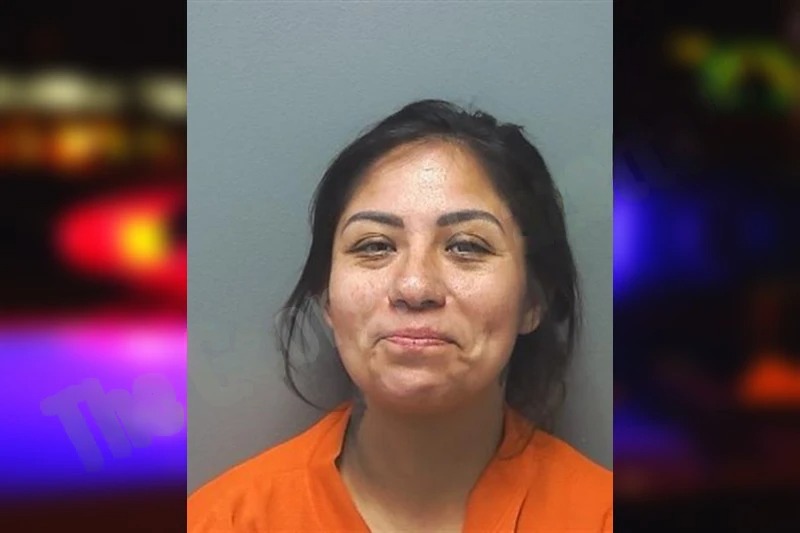 Celene Hernandez Arizmendi Mugshots