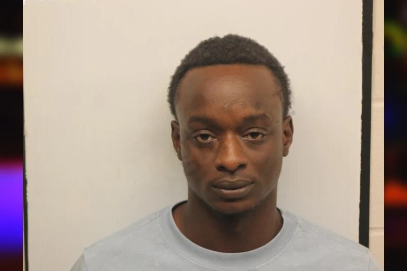 Chamel Chaney mugshot