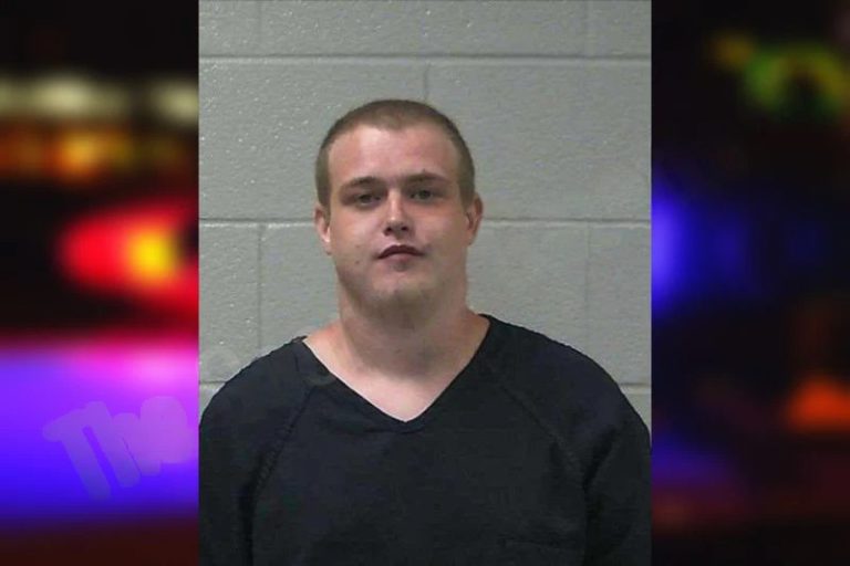 Chandler Gann mugshot – Gilmer County , Georgia Chandler Gann