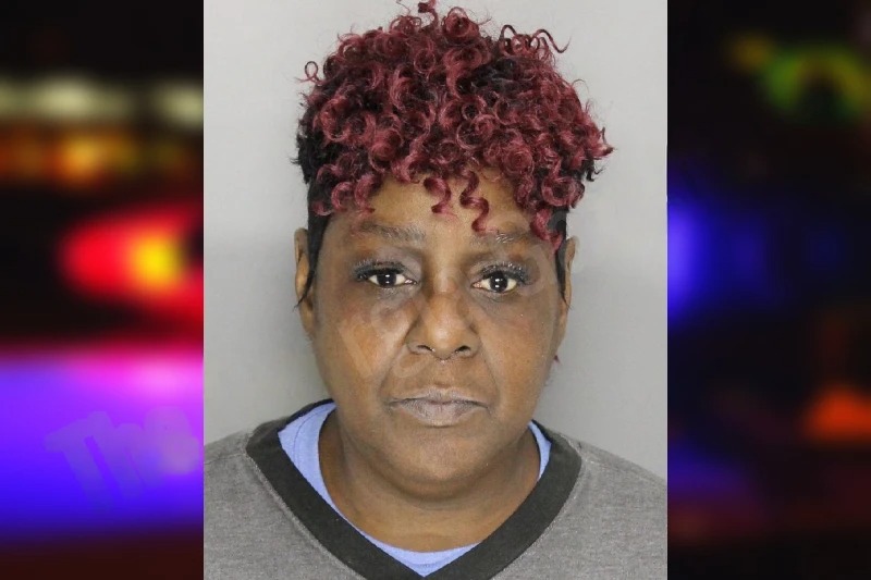 Charlene Tchatchoua mugshot – Cobb County , Georgia Charlene Tchatchoua mugshot