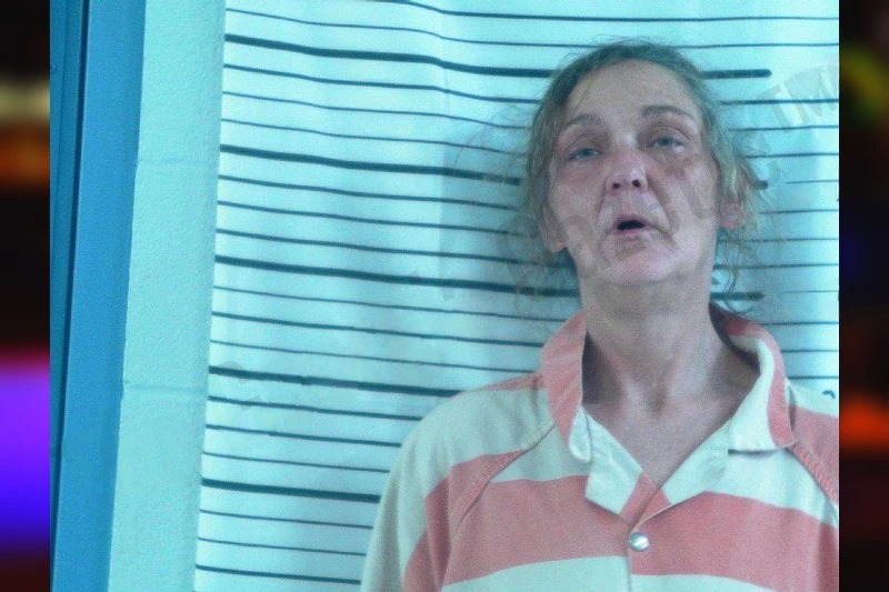 Chastity Wilson Mugshots