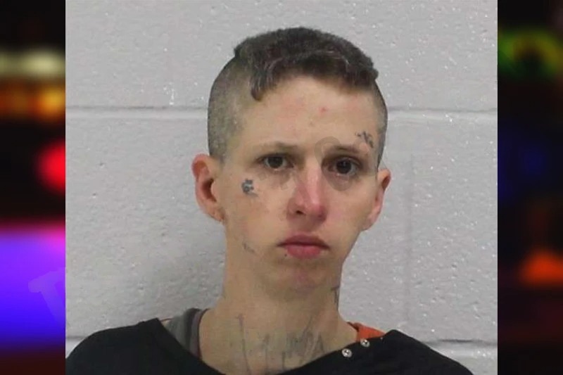 Chelsea Pointer mugshot – Carroll County , Georgia Chelsea Pointer mugshot