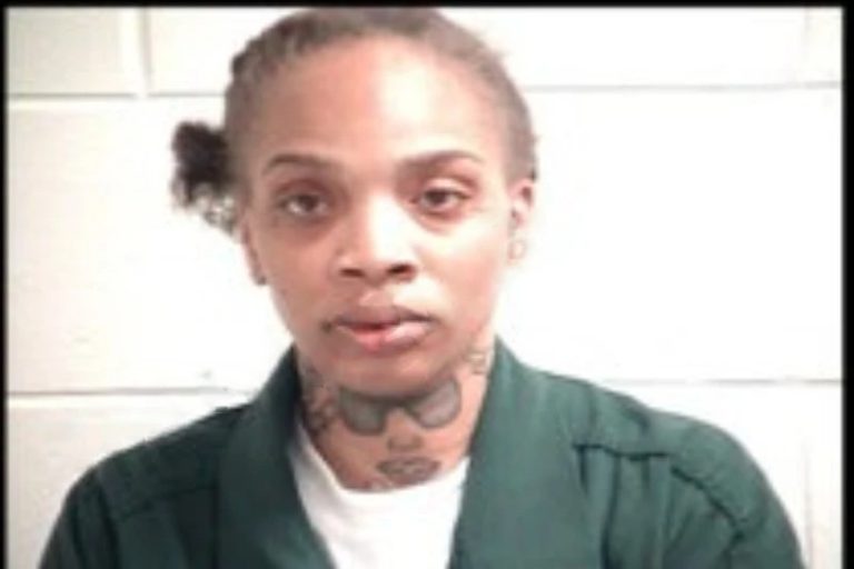 Chelsea Tyer mugshot – Henry County , Georgia Chelsea Tyer