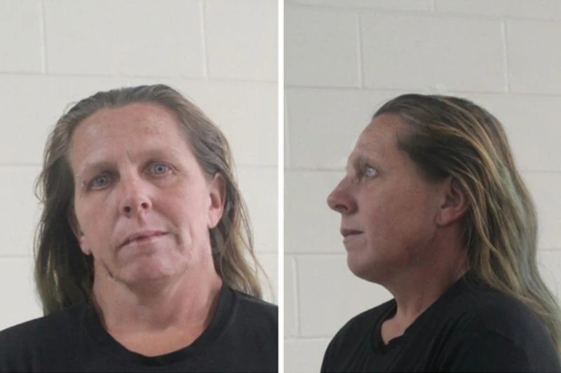 Cherise Brow Mugshots