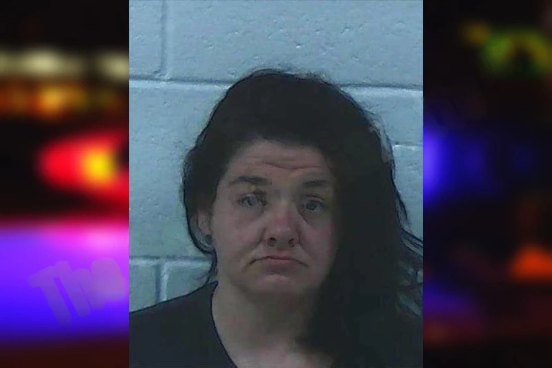 Cheryl Shook Burch Mugshots