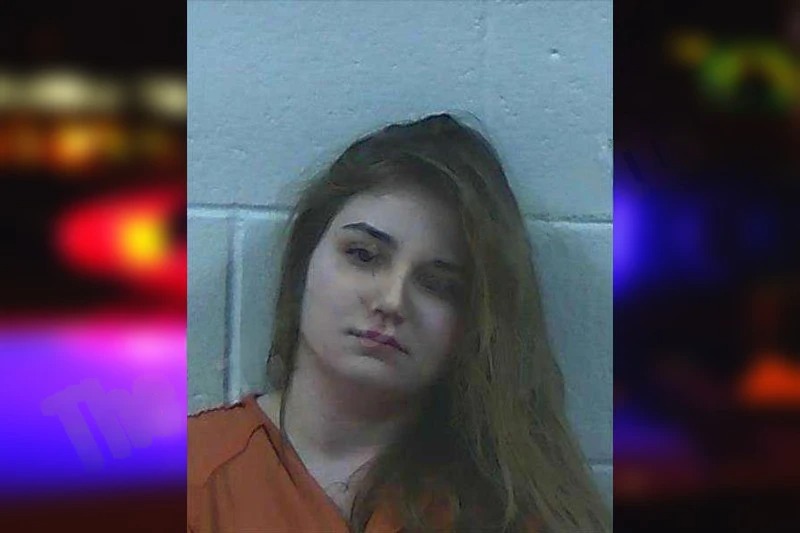 Cheyenne Turpin Mugshots