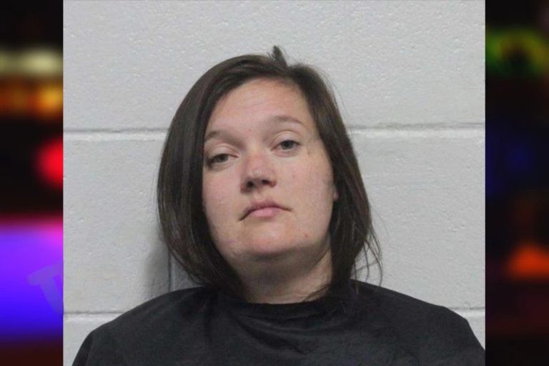 Cheyenne Wheeler mugshot – Habersham County , Georgia Cheyenne Wheeler