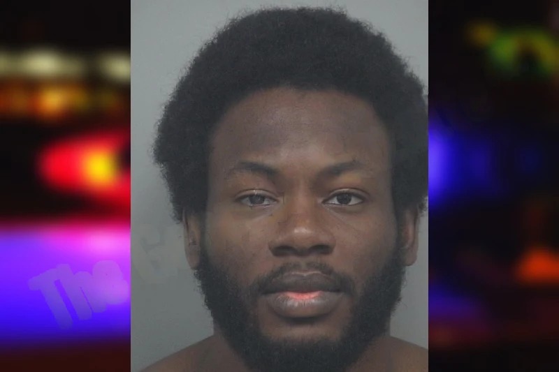 Chinemerem Ohaeri mugshot