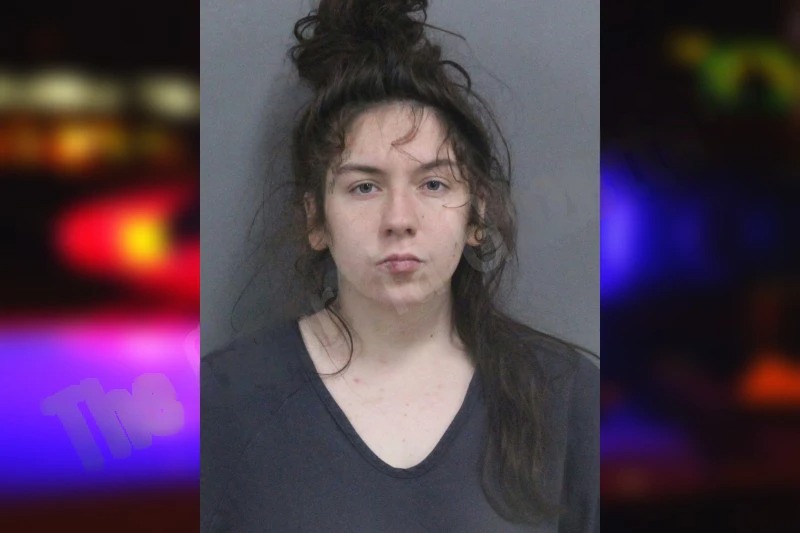 Chloe Elkins mugshot