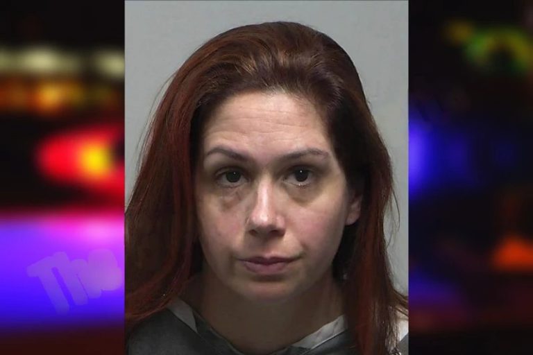 Chloe Meehan mugshot – Tift County , Georgia Chloe Meehan