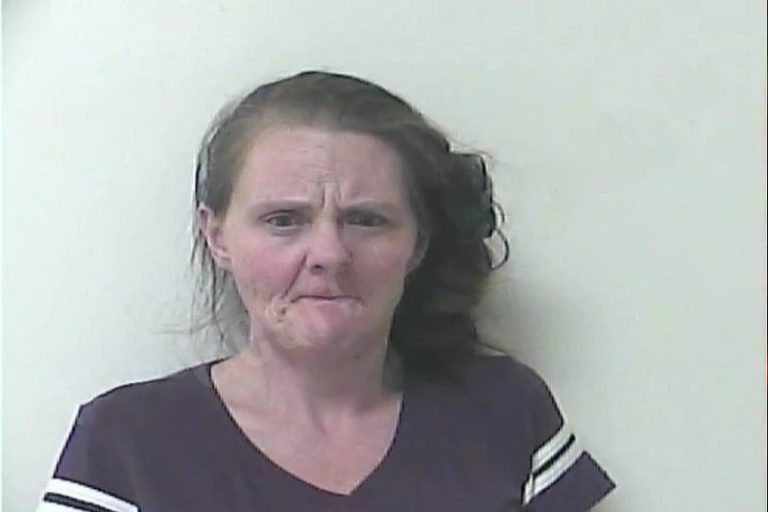 Christa Fink mugshot – Oconee County , Georgia Christa Fink
