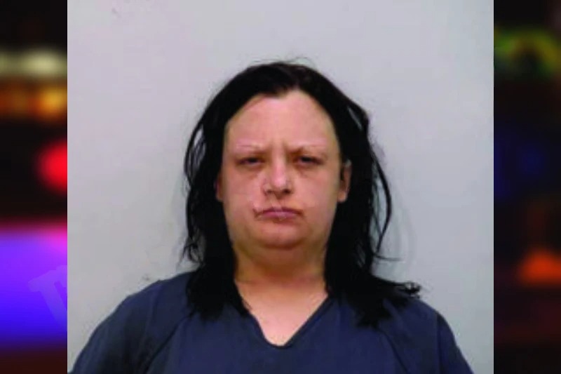 Christen Ray mugshot – Bartow County , Georgia Christen Ray mugshot