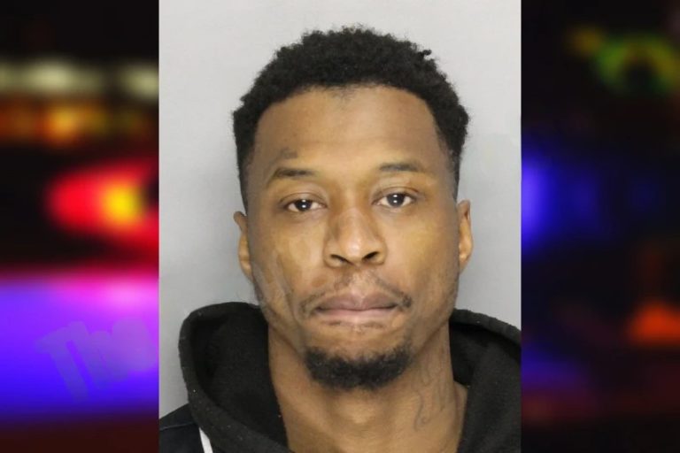 Christian Fountain mugshot – Houston County , Georgia Christian Fountain