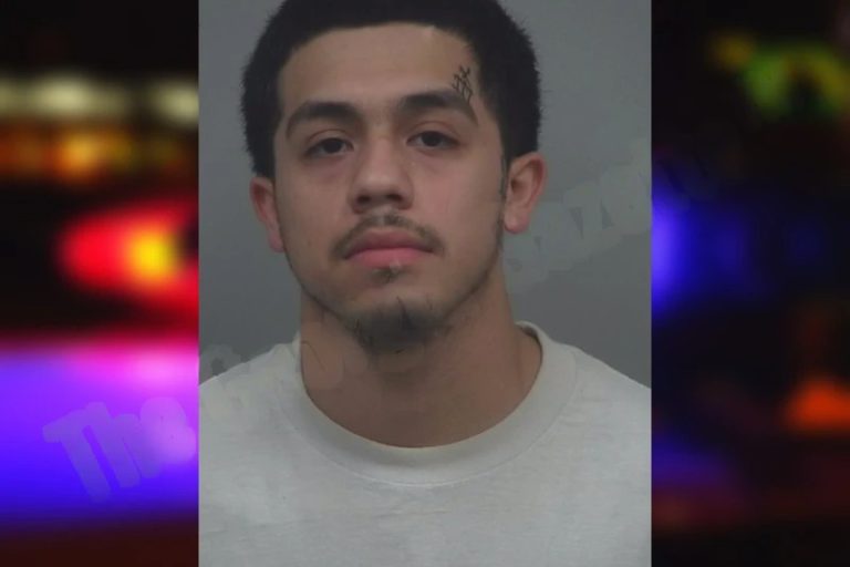 Christian Panana Nava mugshot – Henry County , Georgia Christian Panana Nava