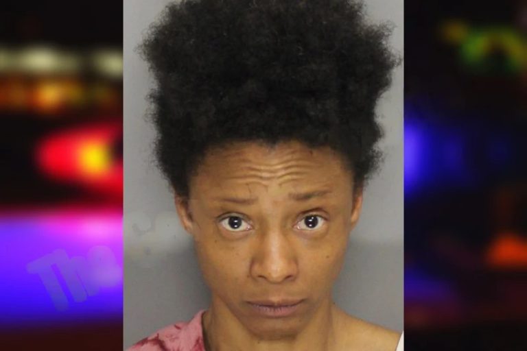 Christina Benford mugshot – Whitfield County , Georgia Christina Benford