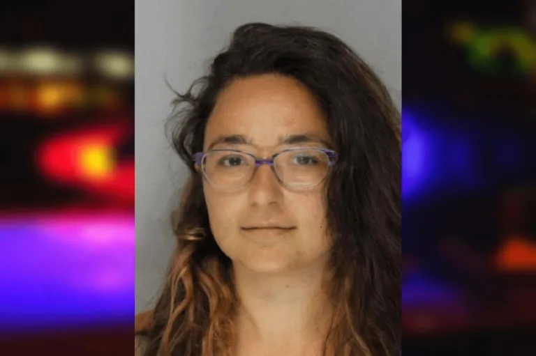 Christina Iglesias mugshot – Hall County , Georgia Christina Iglesias