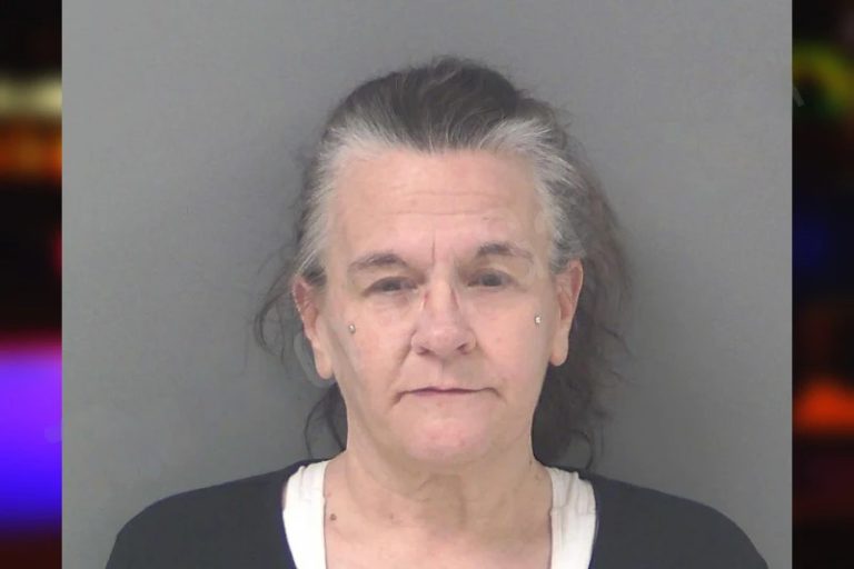Christine Dawes mugshot – Douglas County , Georgia Christine Dawes