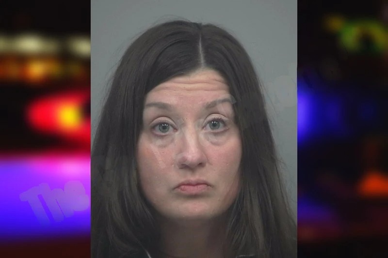 Christine McElhannon Mugshots