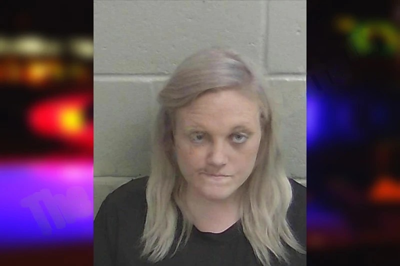 Christy Lee Mugshots