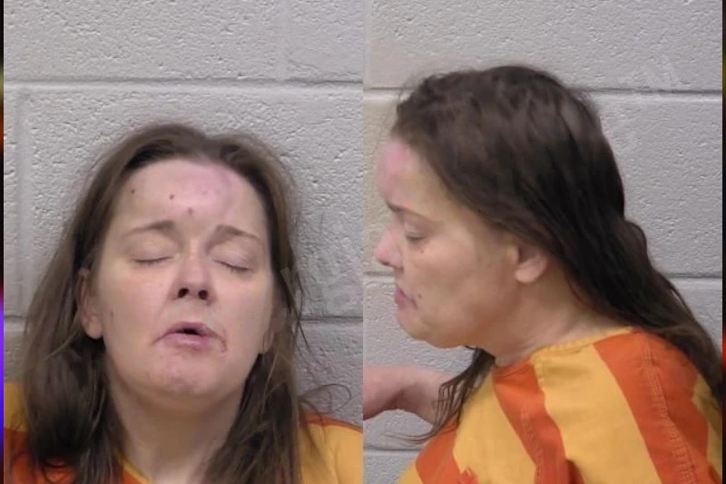 Cindy Amato Mugshots