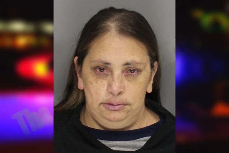 Claudia Almanazatapia Mugshots