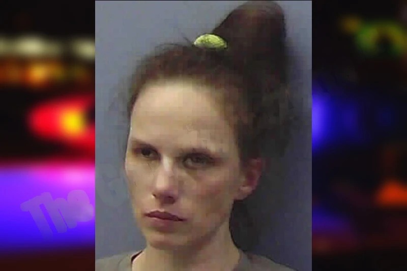 Claudia Parker mugshot – Chattooga County , Georgia Claudia Parker mugshot