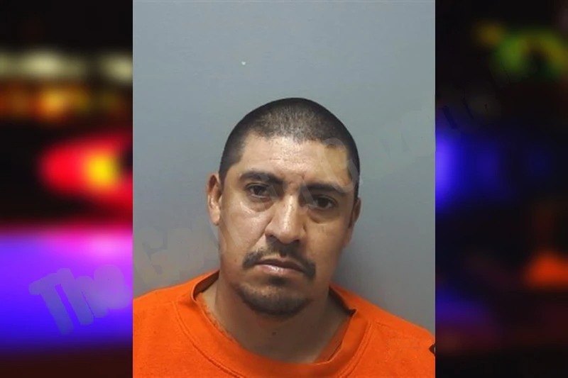 Concepcion Hernandez Cortes Mugshots