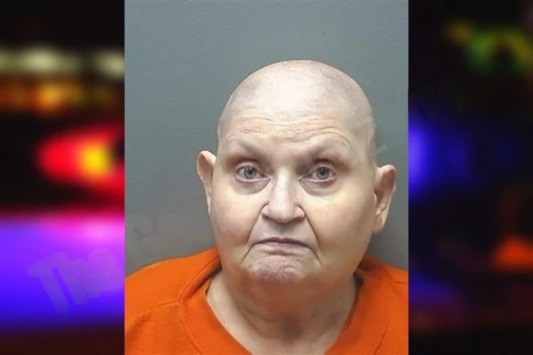 Connie Toole mugshot – Cherokee County , Georgia Connie Toole