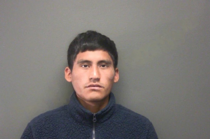 Cristhian Pomatana-Tambine Mugshots