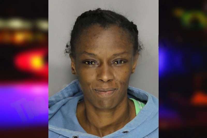 Crystal Barner mugshot – Cobb County , Georgia Crystal Barner mugshot