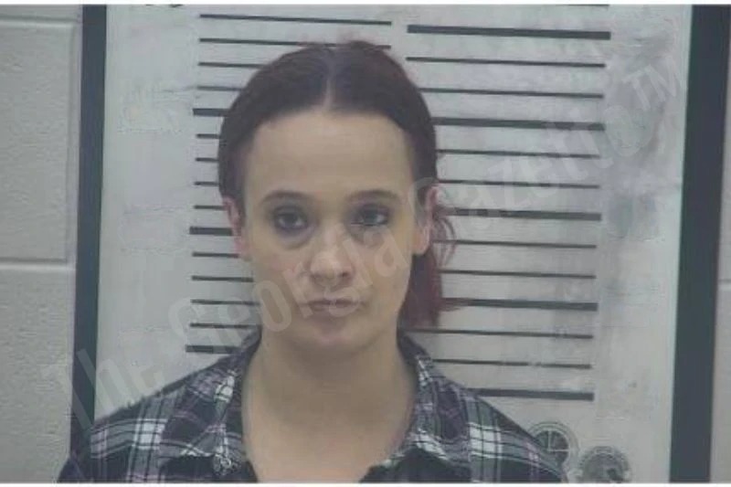 Crystal Barton mugshot – Coffee County , Georgia Crystal Barton mugshot