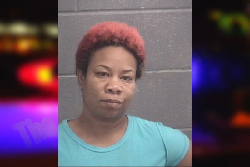 Crystal Evans mugshot