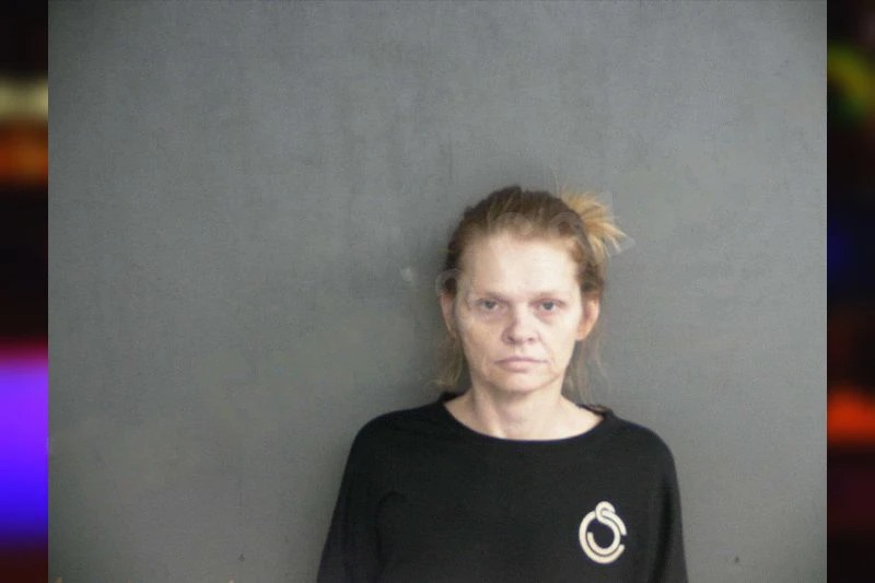 Crystal Fulghum mugshot – Twiggs County , Georgia Crystal Fulghum mugshot