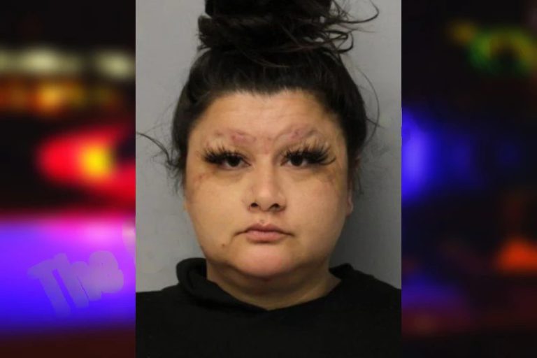 Crystal Lepkham mugshot – Hall County , Georgia Crystal Lepkham