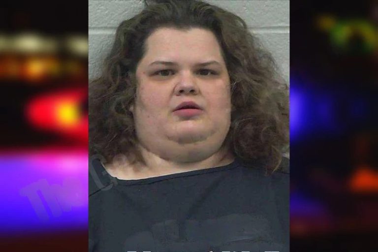 Crystal Phillips mugshot – Gilmer County , Georgia Crystal Phillips