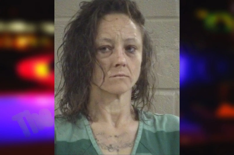 Crystal Sandoval Mugshots