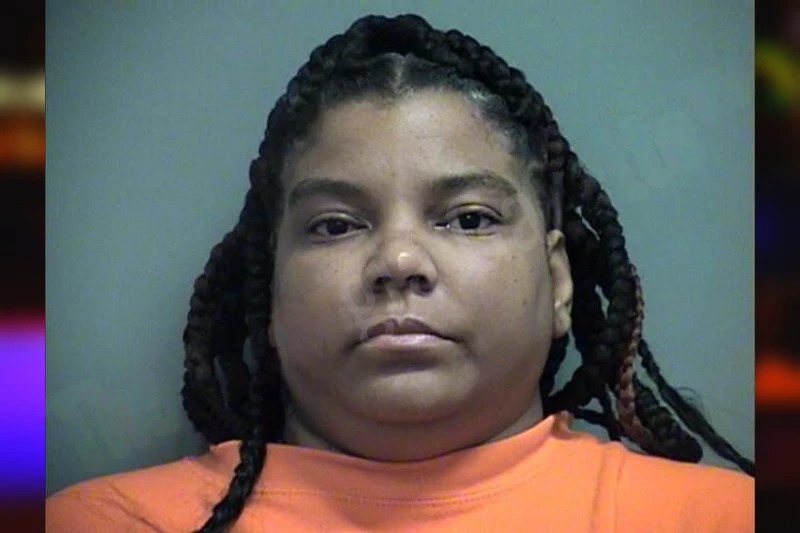 Crystal Taylor mugshot – Effingham County , Georgia Crystal Taylor mugshot
