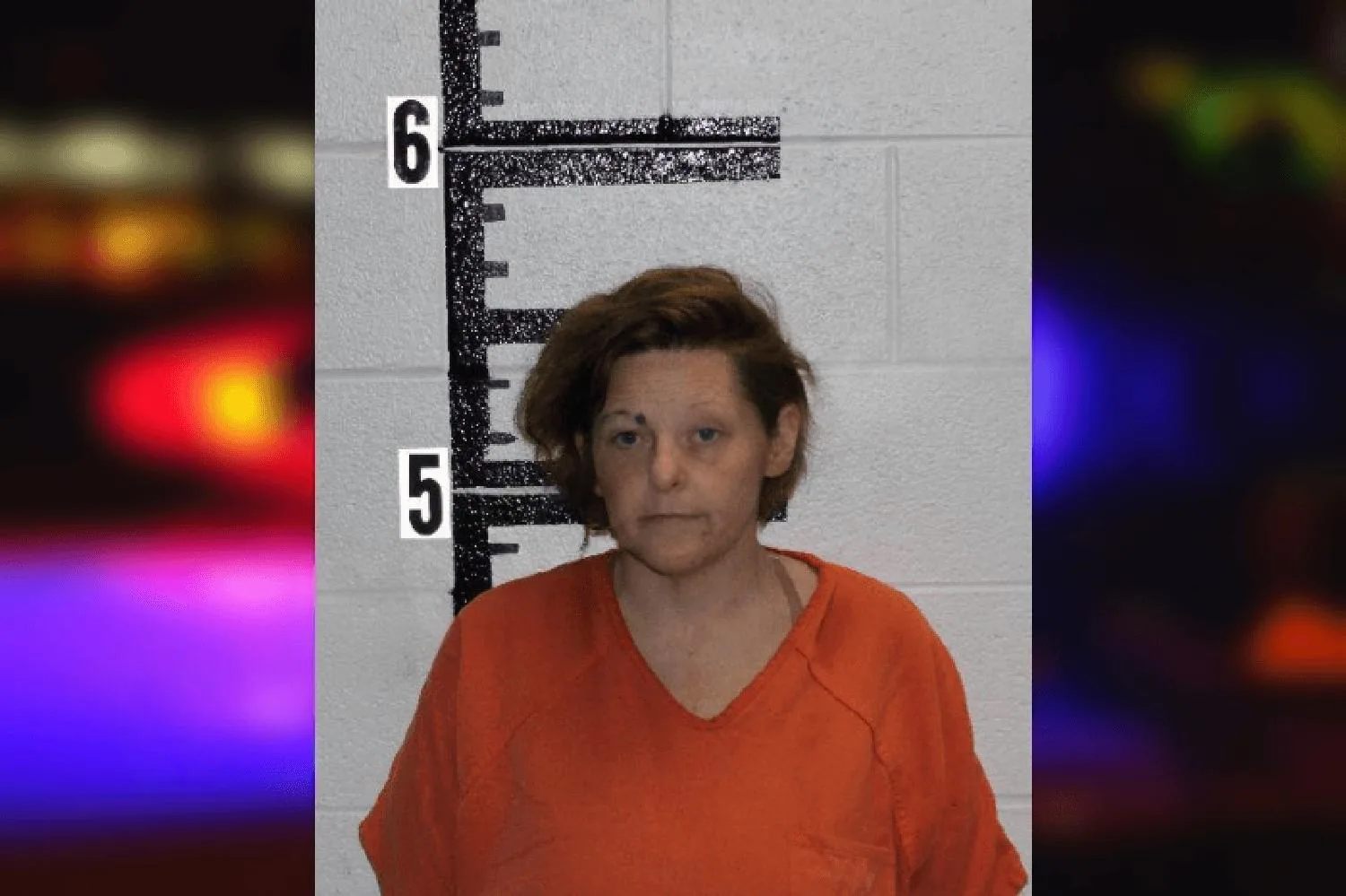 Cynthia Carroll Mugshots